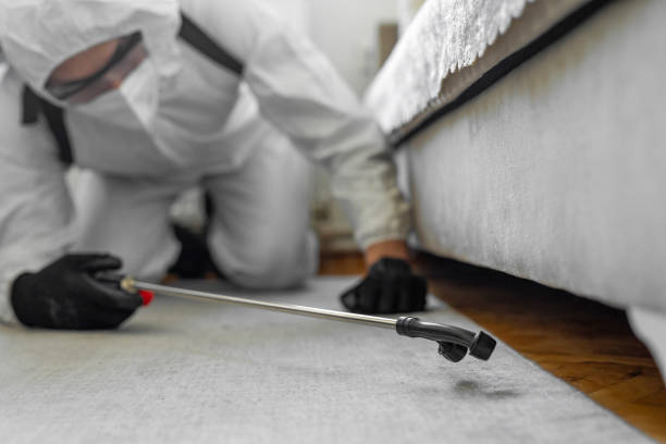 Professional Rodent Control technician working in Campbellsville, KY