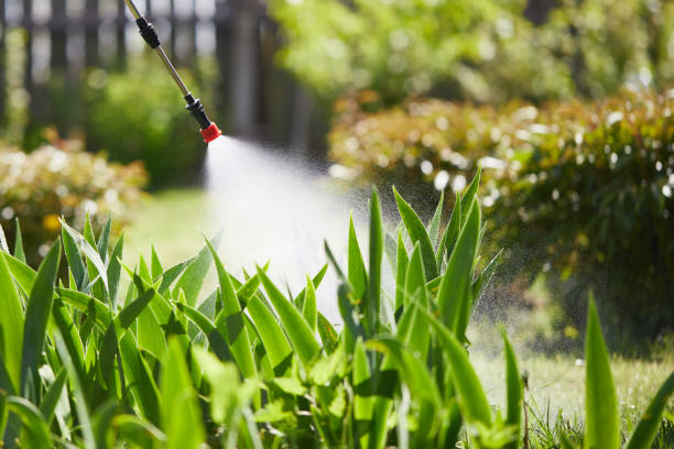 24/7 Emergency Rodent Control experts in Campbellsville, KY