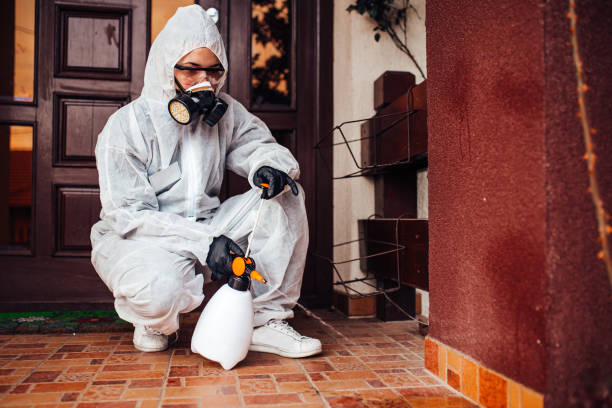 Reliable Rodent Control contractor in Campbellsville, KY by Nex Pest Control