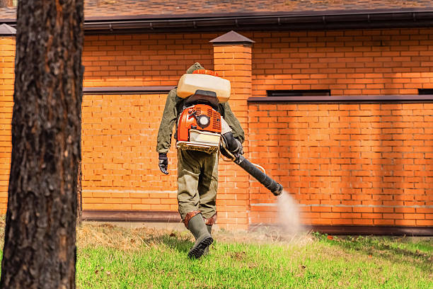Trusted Rodent Control service in Campbellsville, KY - Nex Pest Control